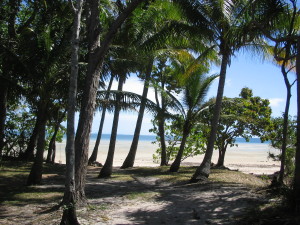 Beach near the Cape York tip