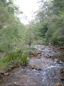 Creek near Acacia Flat