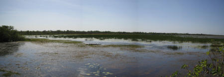 Mamukala Wetlands - Kakadu