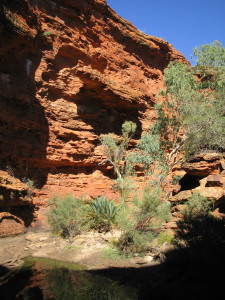 Garden of Eden waterhole at Kings Canyon
