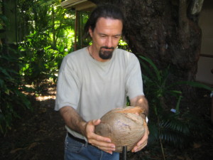 Step 1 : Breaking of the coconut husk