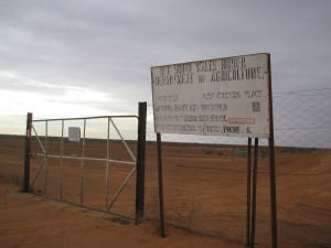 Dog Fence on the NSW-Queensland State Border