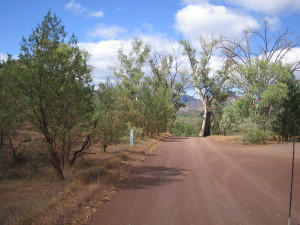 Road in Flinders Ranges