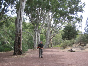 Wilpena Pound Walk - Flinders Ranges