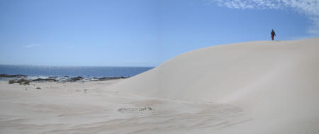 Sand Dunes Point Gibbon - Eyre Peninsula