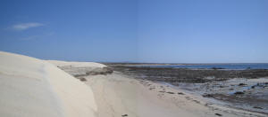 Sand Dunes Point Gibbon - Eyre Peninsula