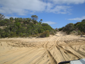 Sand driving - Coffin Bay National Park