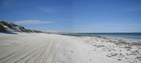 Beach at Scott Bay near Fowlers Bay