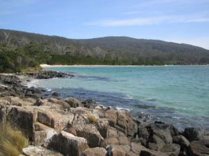 Fisher Point - Cockle Creek