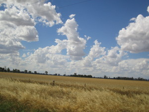 Farming plains along the Murray River