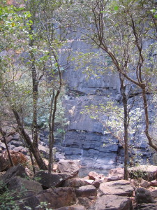 Black Rock Pool near Kununurra