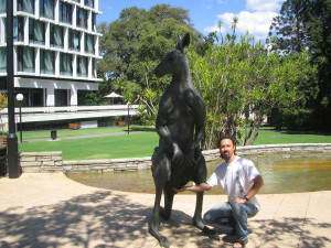 Kangaroos in Perth